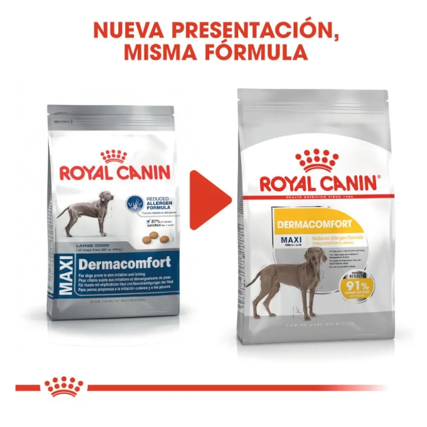 Royal Canin Maxi Dermacomfort ração para cães