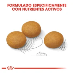 Royal Canin Maxi Dermacomfort ração para cães