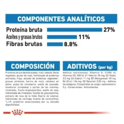 Royal Canin Maxi Light Weight Care ração para cães