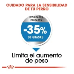 Royal Canin Maxi Light Weight Care ração para cães