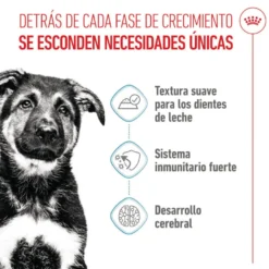 Royal Canin Maxi Puppy Alimento húmido para cães