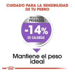 Royal Canin Maxi Sterilised ração para cães