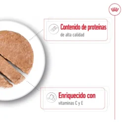 Royal Canin Medium Adult Patê em lata para cães