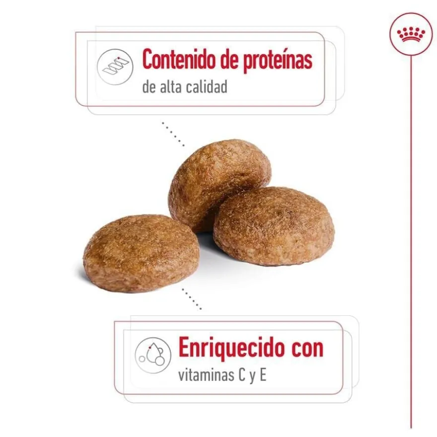 Royal Canin Medium 7+ Adult ração para cães seniores