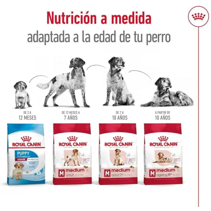 Royal Canin Medium 7+ Adult ração para cães seniores