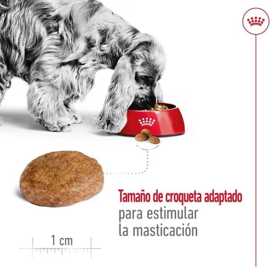 Royal Canin Medium 7+ Adult ração para cães seniores