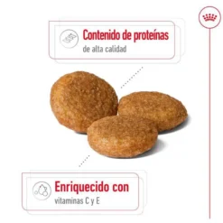 Royal Canin Medium Adult ração para cães