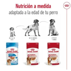Royal Canin Medium Adult saquetas em molho para cães