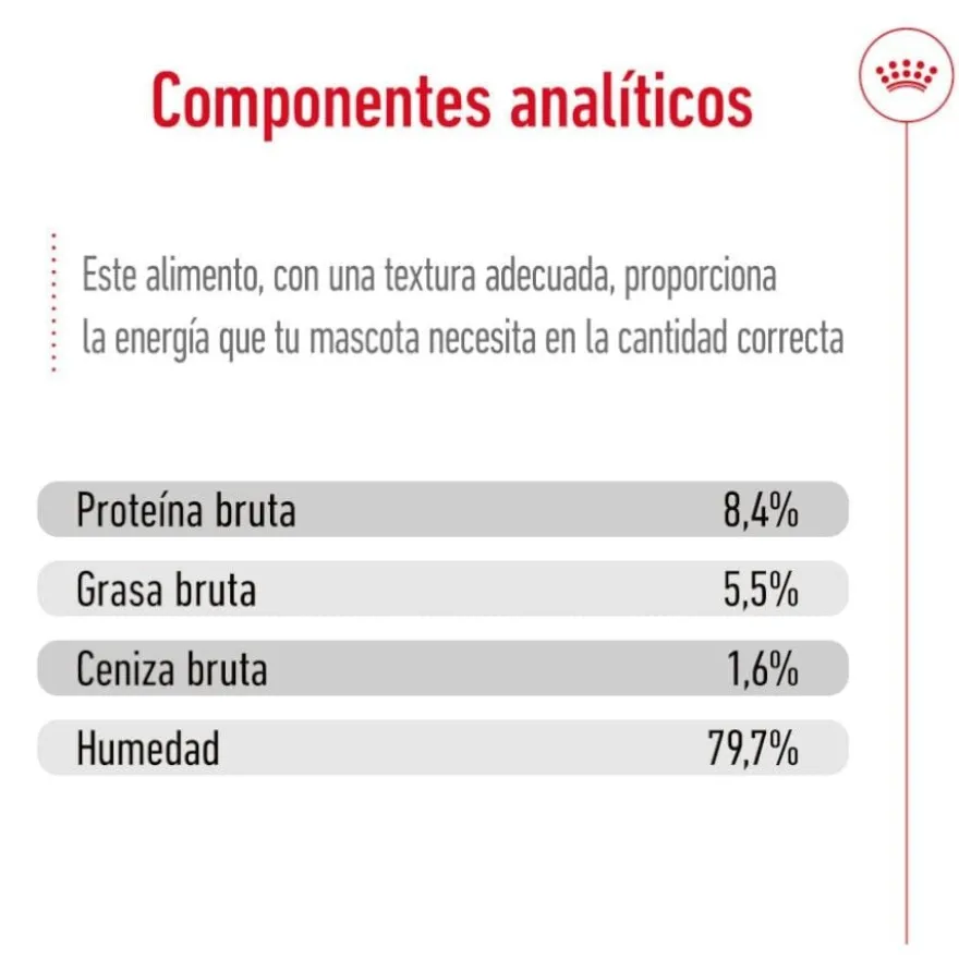 Royal Canin Medium 7+ Ageing lata para cães sénior