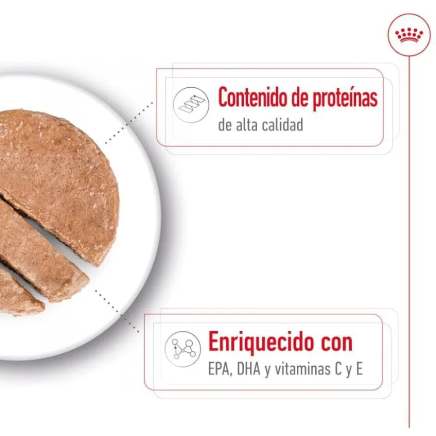 Royal Canin Medium 7+ Ageing lata para cães sénior