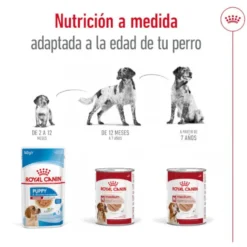 Royal Canin Medium 7+ Ageing lata para cães sénior