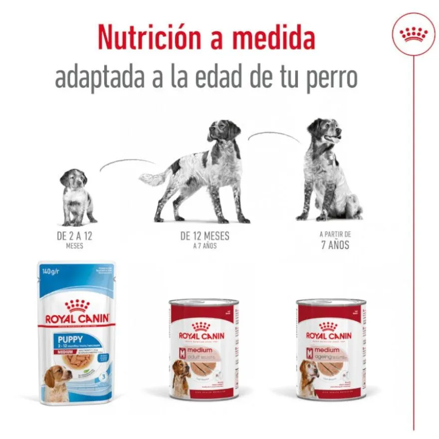 Royal Canin Medium 7+ Ageing lata para cães sénior