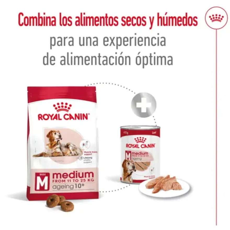 Royal Canin Medium 10+ Ageing ração para cães sénior
