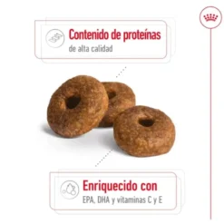 Royal Canin Medium 10+ Ageing ração para cães sénior
