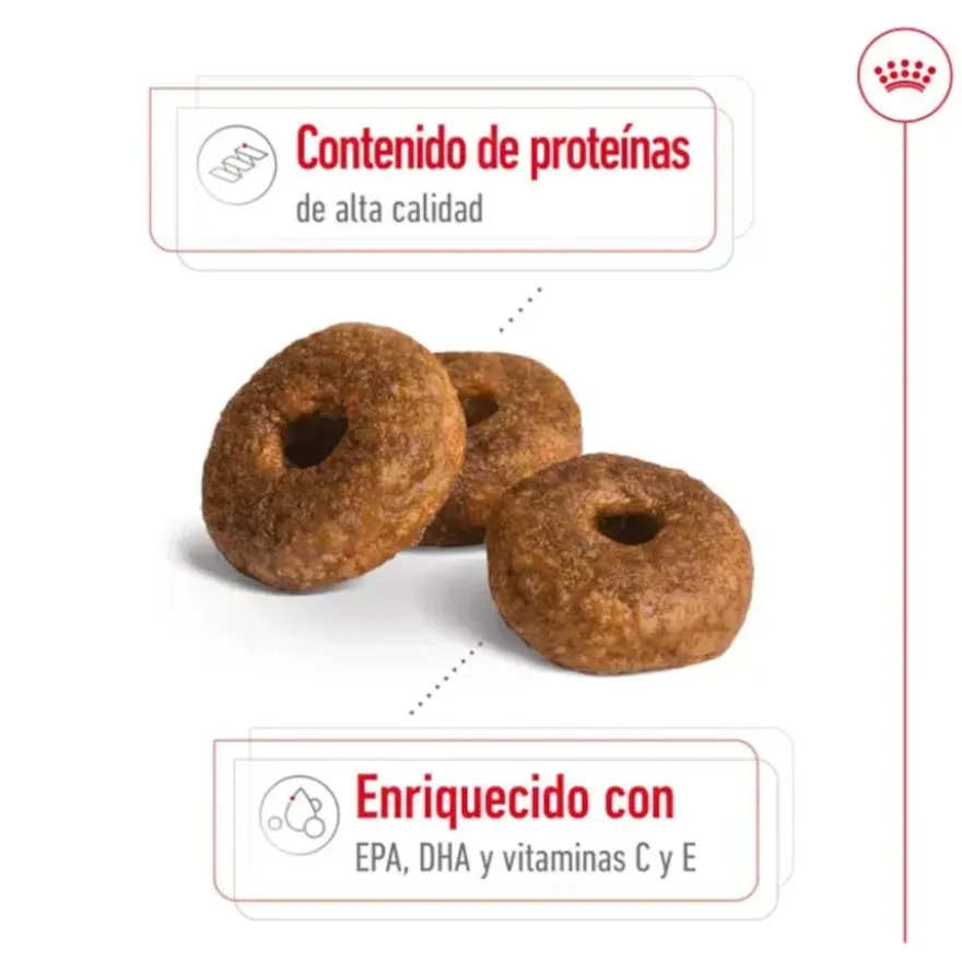 Royal Canin Medium 10+ Ageing ração para cães sénior