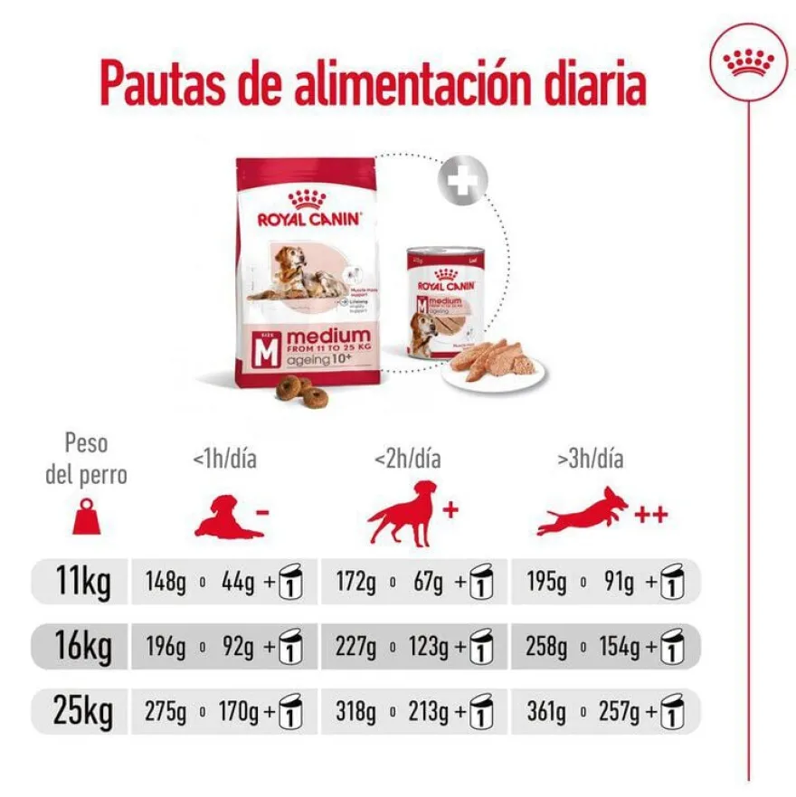 Royal Canin Medium 10+ Ageing ração para cães sénior