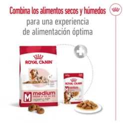 Royal Canin Medium 10+ Ageing ração para cães sénior