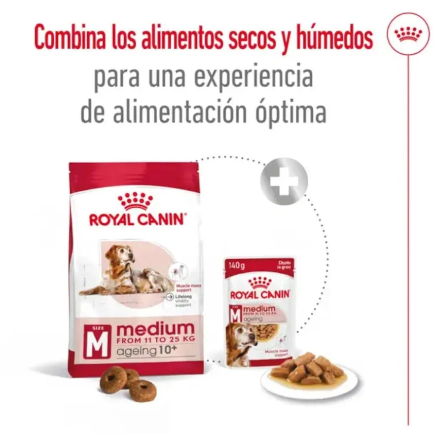 Royal Canin Medium 10+ Ageing ração para cães sénior