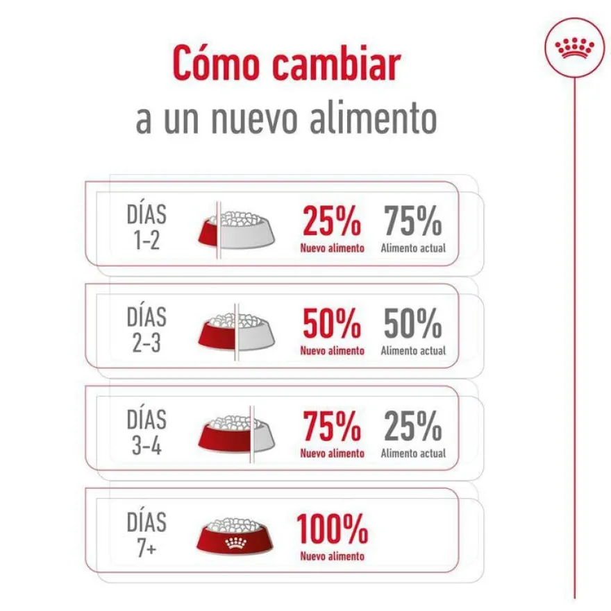 Royal Canin Medium 10+ Ageing ração para cães sénior