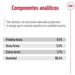 Royal Canin Medium Ageing saquetas em molho para cães sénior