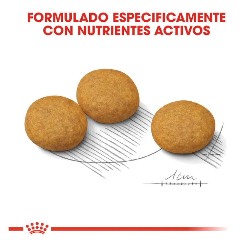 Royal Canin Medium Dermacomfort ração para cães