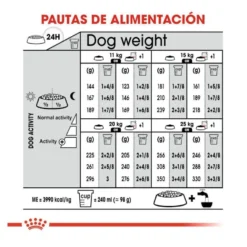 Royal Canin Medium Digestive Care ração para cães