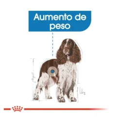 Royal Canin Medium Light Weight Care ração para cães