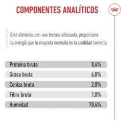 Royal Canin Medium Puppy saquetas para cães