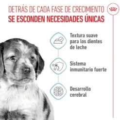 Royal Canin Medium Puppy saquetas para cães