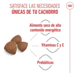 Royal Canin Medium Starter Mother&Baby ração para cães