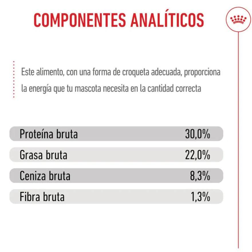 Royal Canin Medium Starter Mother&Baby ração para cães