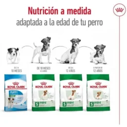 Royal Canin Mini 8+ Adult ração para cães