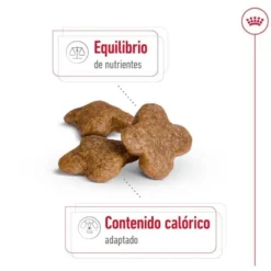 Royal Canin Mini 8+ Adult ração para cães