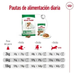 Royal Canin Mini 12+ Ageing ração para cães sénior
