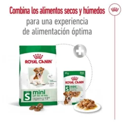 Royal Canin Mini 12+ Ageing ração para cães sénior