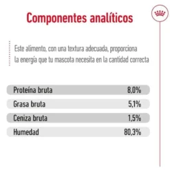 Royal Canin Mini Ageing saquetas em molho para cães sénior