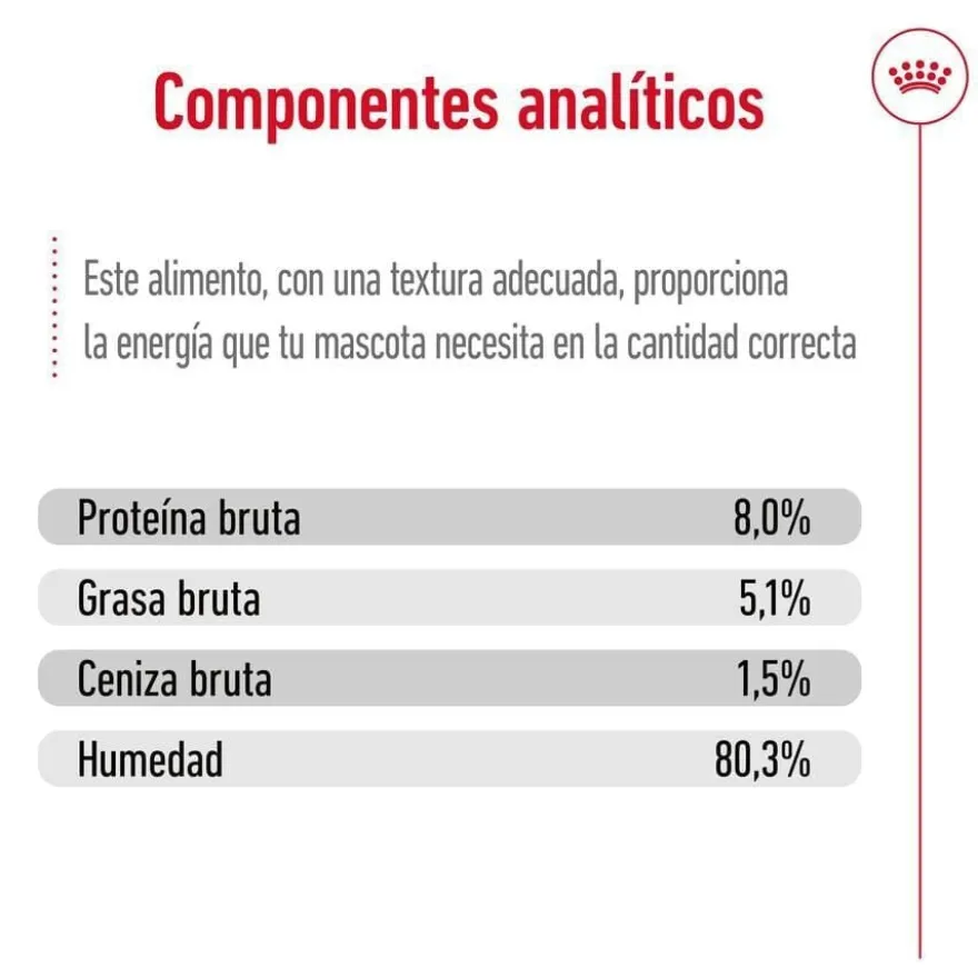 Royal Canin Mini Ageing saquetas em molho para cães sénior