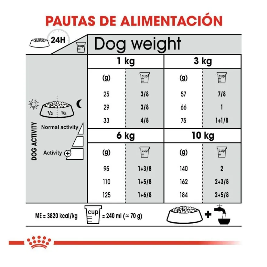 Royal Canin Mini Dental Care ração para cães