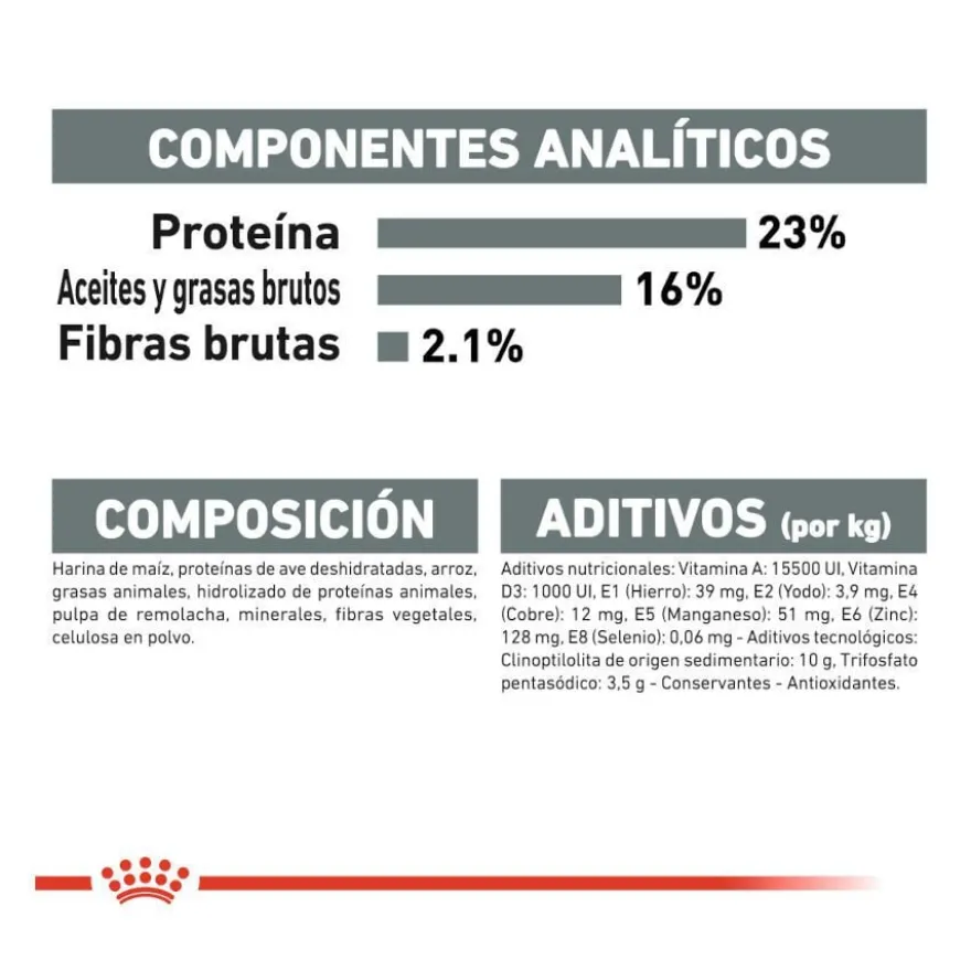 Royal Canin Mini Dental Care ração para cães