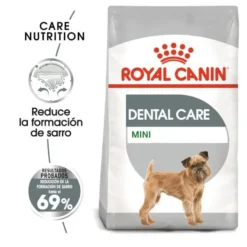 Royal Canin Mini Dental Care ração para cães