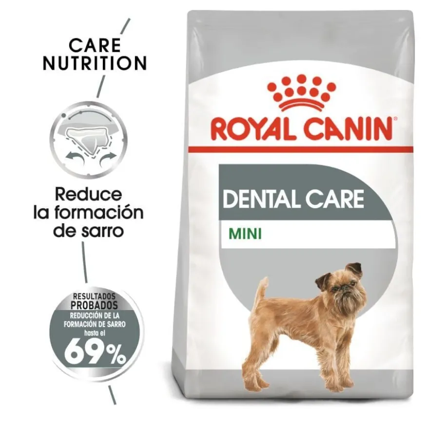 Royal Canin Mini Dental Care ração para cães