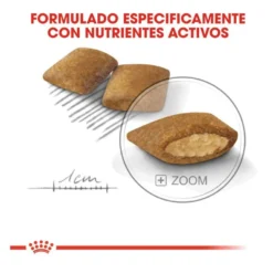 Royal Canin Mini Exigent ração para cães