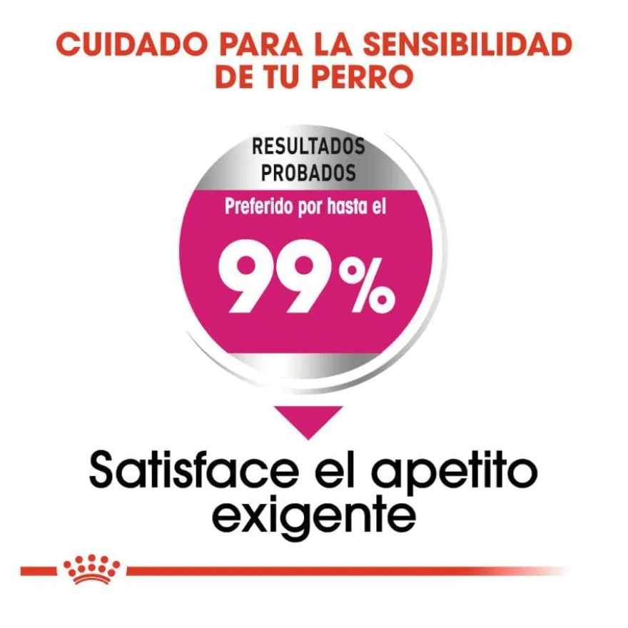 Royal Canin Mini Exigent ração para cães