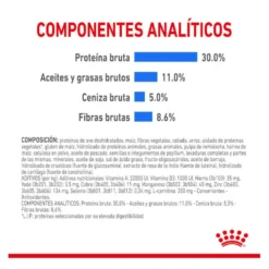 Royal Canin Mini Light Weight Care ração para cães
