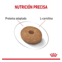 Royal Canin Mini Light Weight Care ração para cães