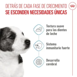 Royal Canin Mini Puppy alimento húmido em molho saquetas para cães