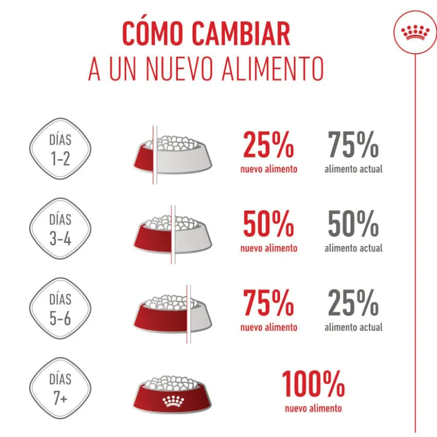Royal Canin Mini Puppy ração para cachorros pequenos