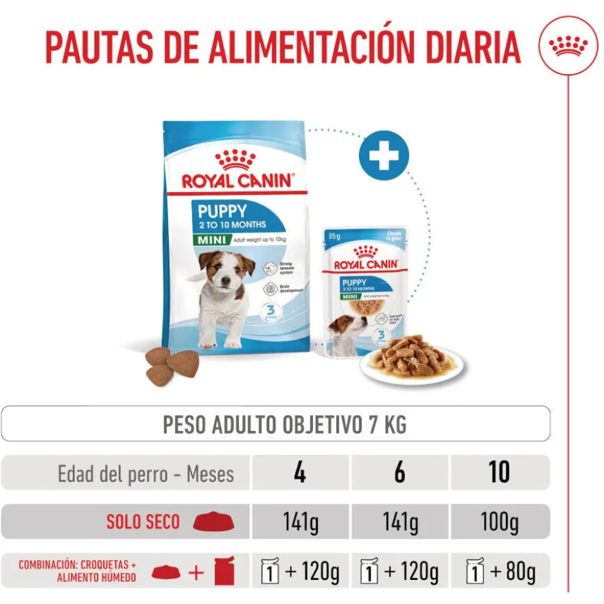 Royal Canin Mini Puppy ração para cachorros pequenos