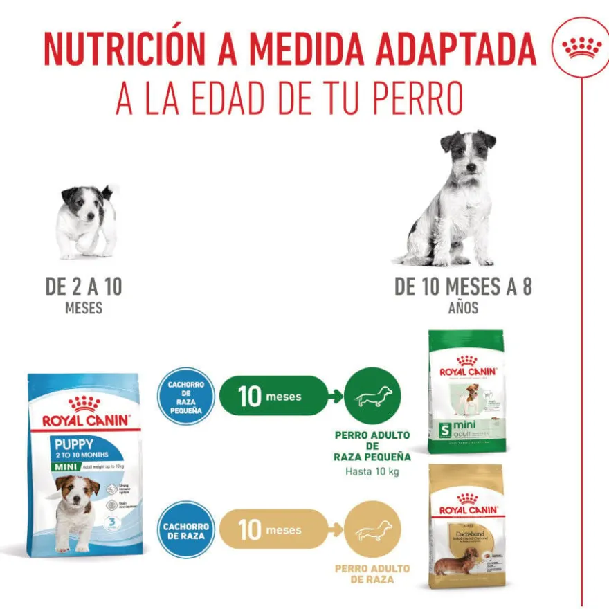 Royal Canin Mini Puppy ração para cachorros pequenos