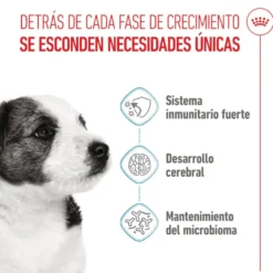 Royal Canin Mini Puppy ração para cachorros pequenos
